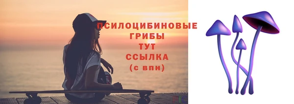 СК Алзамай