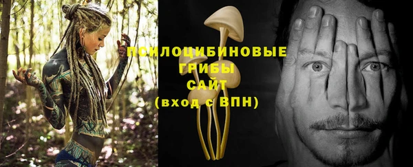 PSILOCYBIN Алексеевка