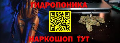прущие крисы Анжеро-Судженск