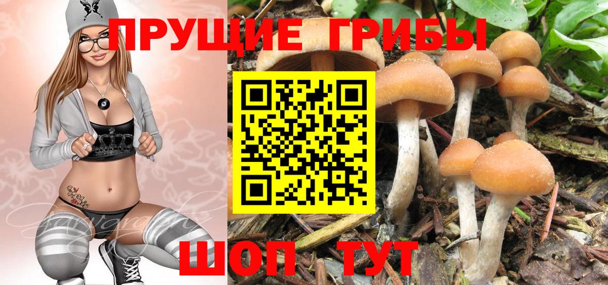 Галлюциногенные грибы мицелий Тында